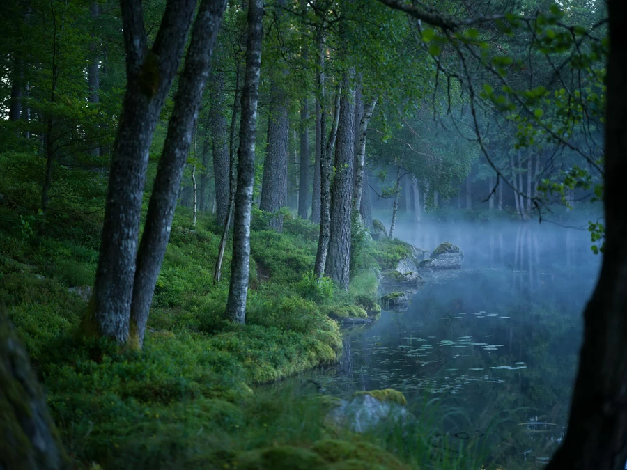 Hasselblad XCD 90mm f/2.5 V Lens by  in  - EC MALL