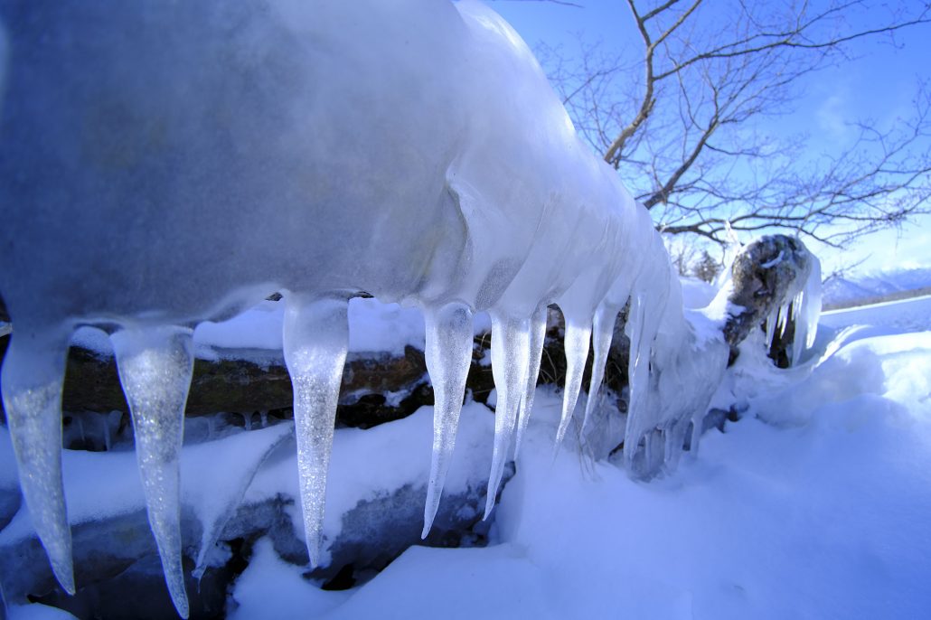 Tokina SZ 8mm f/2.8 Fisheye Lens by  in  - EC MALL