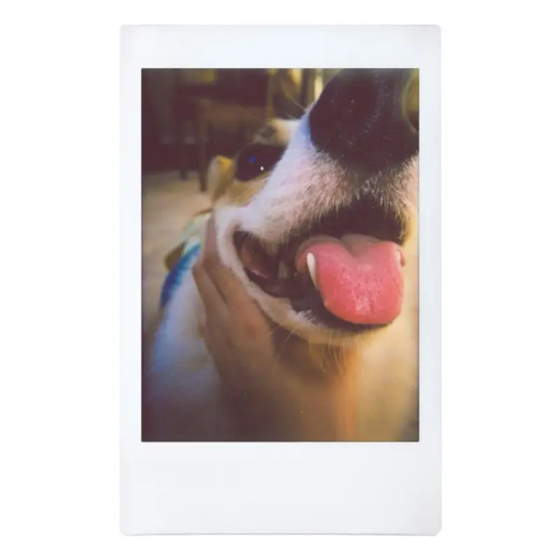 Lomography Lomo'Instant Automat Glass รุ่น Serengeti by  in  - EC MALL