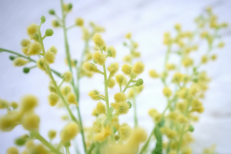 Nikon NIKKOR Z 17-28mm f/2.8 Lens by  in  - EC MALL