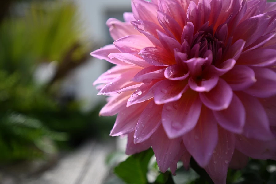 Nikon NIKKOR Z 17-28mm f/2.8 Lens by  in  - EC MALL