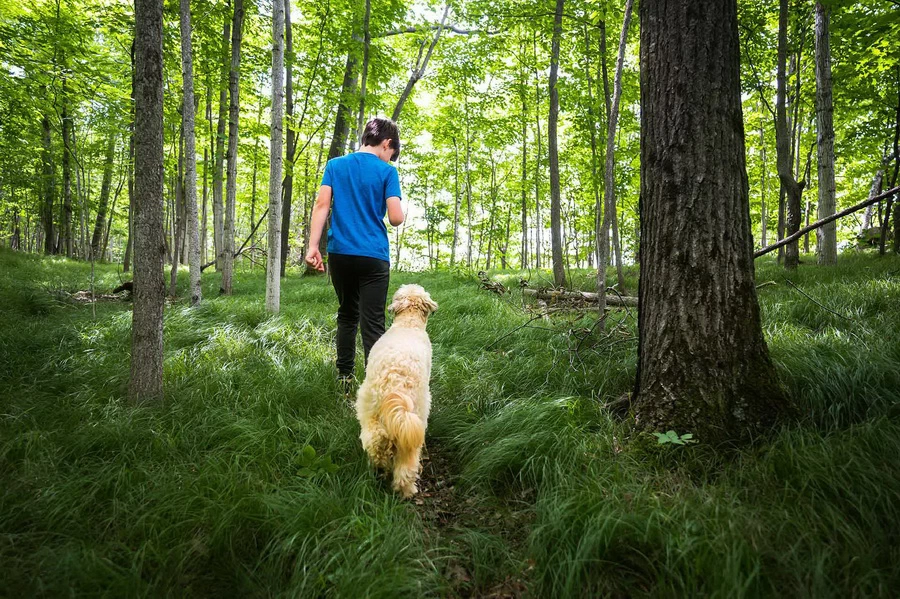 Nikon NIKKOR Z 17-28mm f/2.8 Lens by  in  - EC MALL