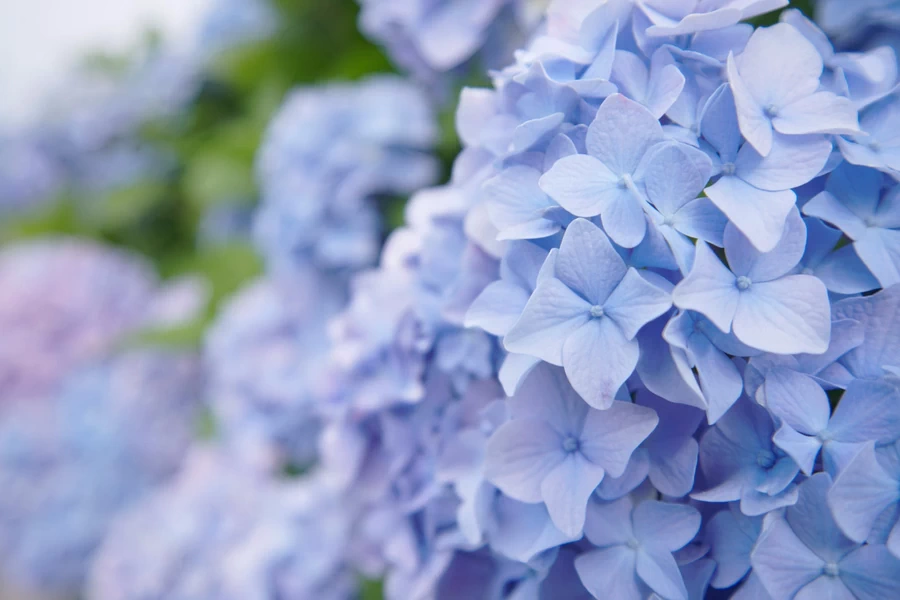 Tokina atx-m 11-18mm f/2.8 E Lens by  in  - EC MALL