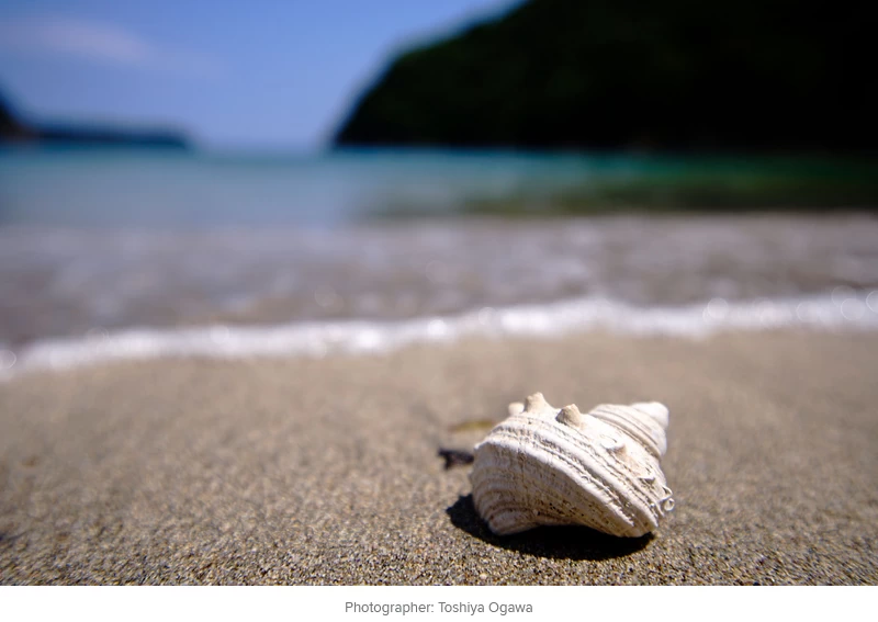 Tokina atx-m 11-18mm f/2.8 E Lens by  in  - EC MALL