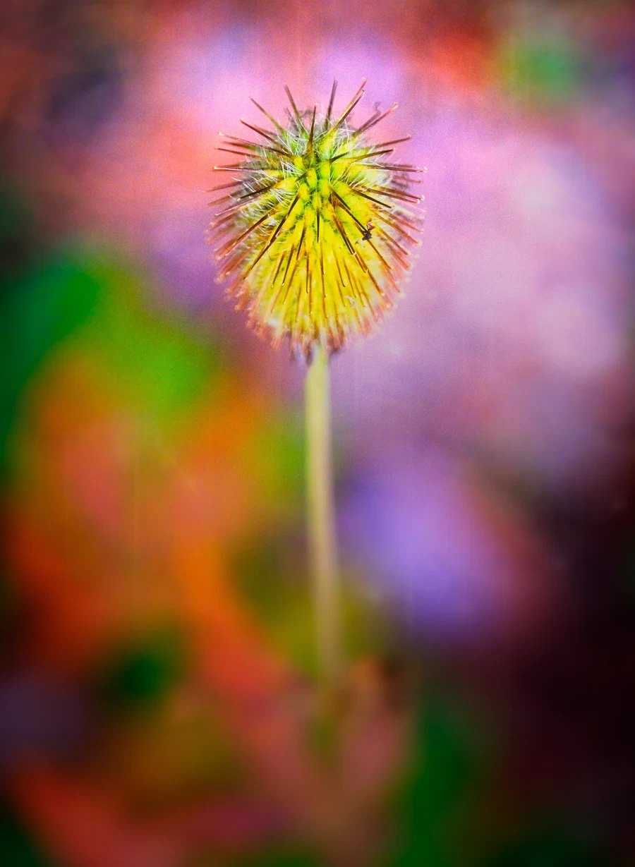 Fujifilm X-T5 by  in  - EC MALL