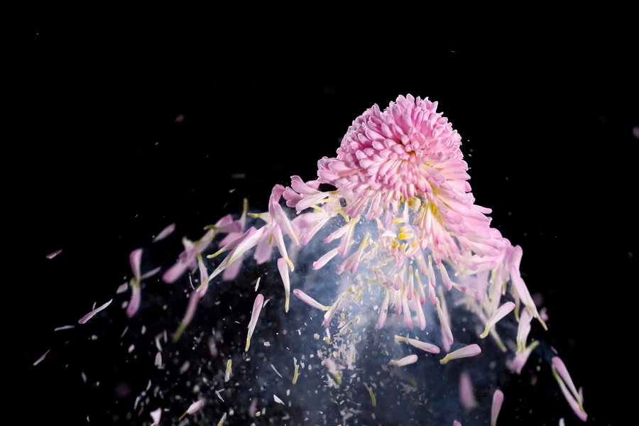 Fujifilm X-T5 by  in  - EC MALL