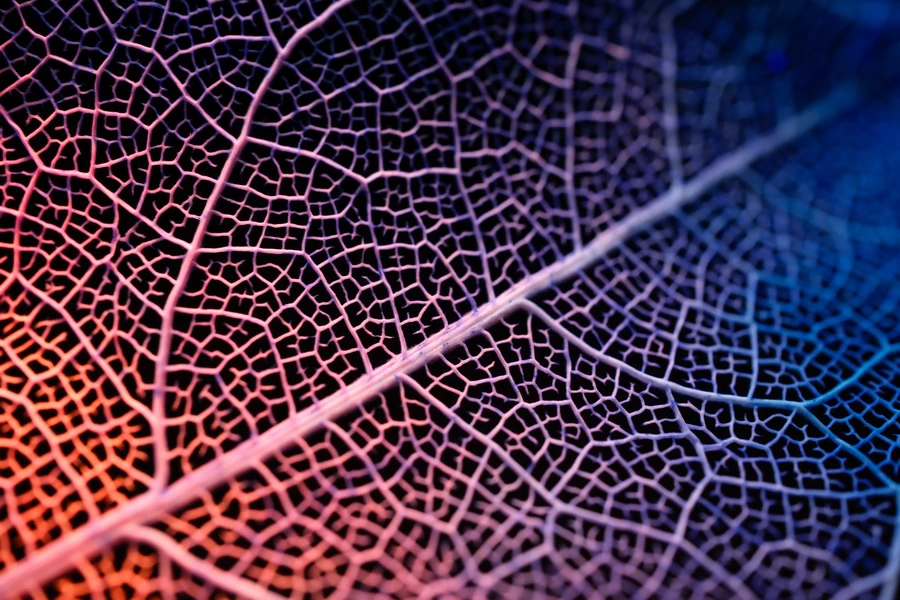 Fujifilm Fujinon XF 30mm f/2.8 R LM WR Macro by  in  - EC MALL