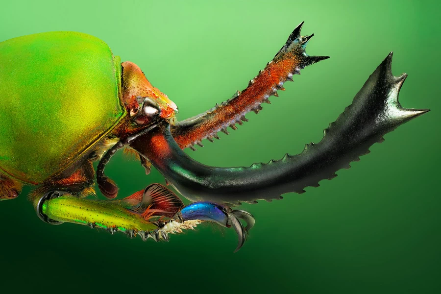 Fujifilm Fujinon XF 30mm f/2.8 R LM WR Macro by  in  - EC MALL