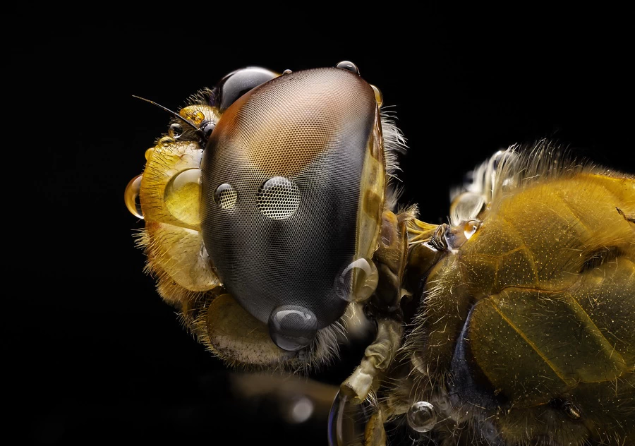 Fujifilm Fujinon XF 30mm f/2.8 R LM WR Macro by  in  - EC MALL