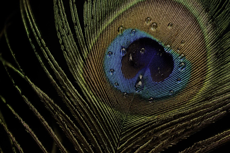 Fujifilm Fujinon XF 30mm f/2.8 R LM WR Macro by  in  - EC MALL