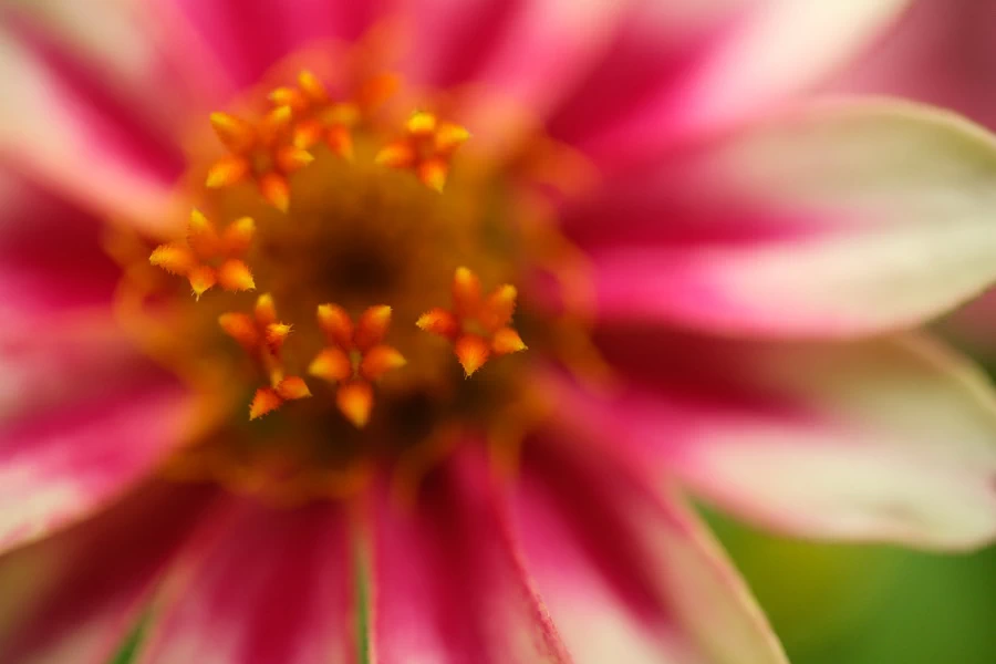 Fujifilm Fujinon XF 30mm f/2.8 R LM WR Macro by  in  - EC MALL