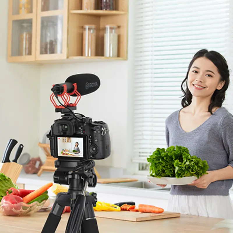 Boya BY-BM2040 Shotgun Microphone by  in  - EC MALL