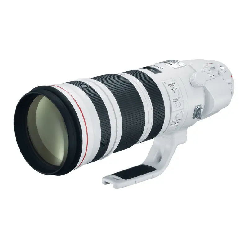 Canon EF 200-400mm f/4L IS USM Extender 1.4x by  in  - EC MALL
