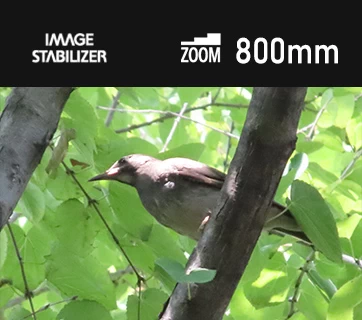 Canon PowerShot  ZOOM by  in  - EC MALL