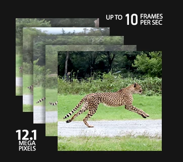 Canon PowerShot  ZOOM by  in  - EC MALL