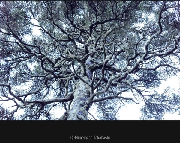 Panasonic Lumix DC-S5 II by  in  - EC MALL