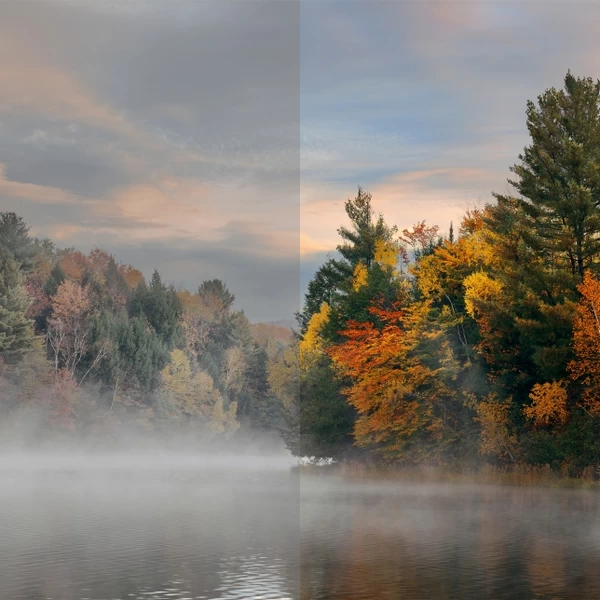 Panasonic Lumix DC-S5 II by  in  - EC MALL