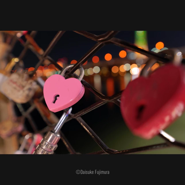 Panasonic Lumix S 14-28mm f/4-5.6 MACRO (S-R1428) L-Mount Lens by  in  - EC MALL