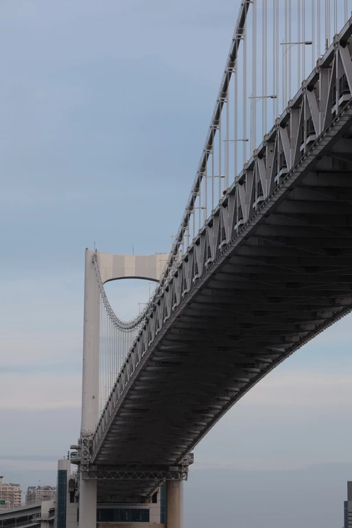 Canon RF 135mm f/1.8L IS USM Lens by  in  - EC MALL