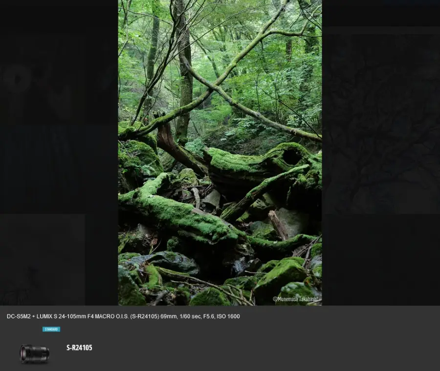 Panasonic Lumix DC-S5 II by  in  - EC MALL