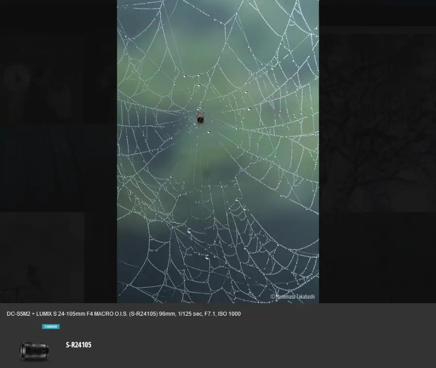Panasonic Lumix DC-S5 II by  in  - EC MALL