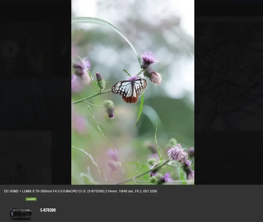 Panasonic Lumix DC-S5 II by  in  - EC MALL