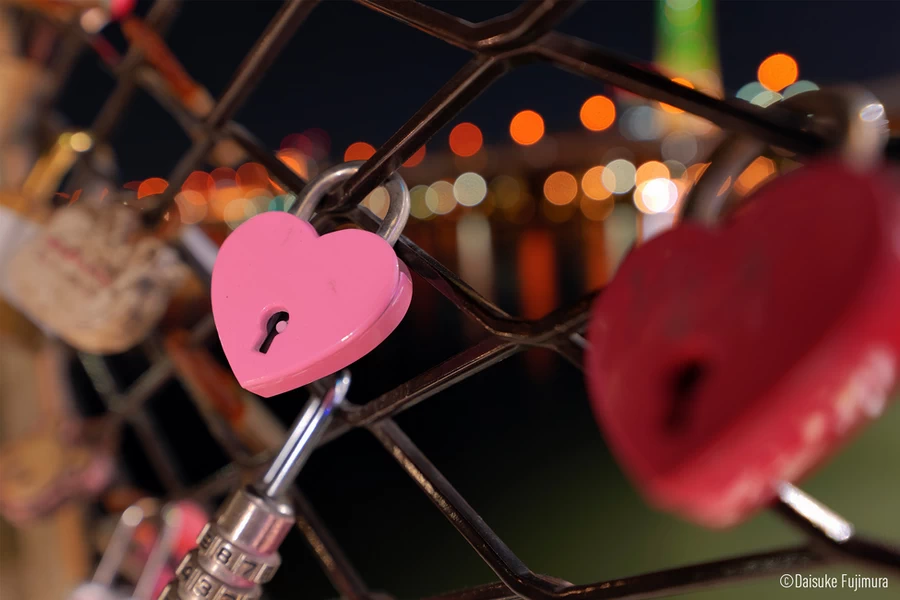 Panasonic Lumix S 14-28mm f/4-5.6 MACRO (S-R1428) L-Mount Lens by  in  - EC MALL