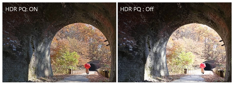 Canon EOS R50 Mirrorless Camera by  in  - EC MALL