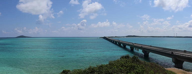 Canon EOS R50 Mirrorless Camera by  in  - EC MALL