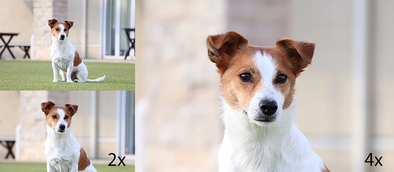 Canon EOS R50 Mirrorless Camera by  in  - EC MALL