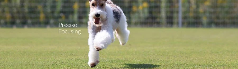 Canon EOS R50 Mirrorless Camera by  in  - EC MALL