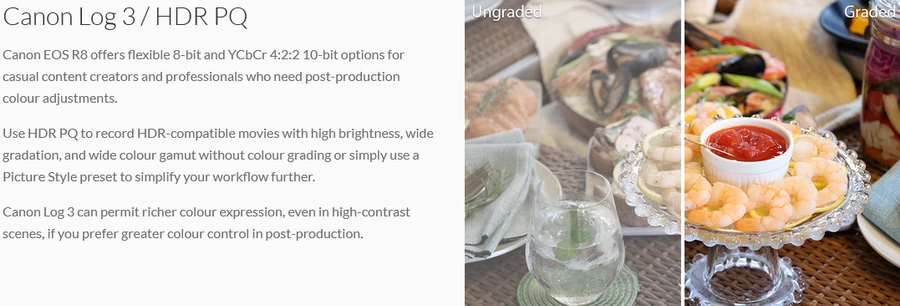 Canon EOS R8 Mirrorless Camera กล้องมิเรอร์เลสฟูลเฟรม by  in  - EC MALL