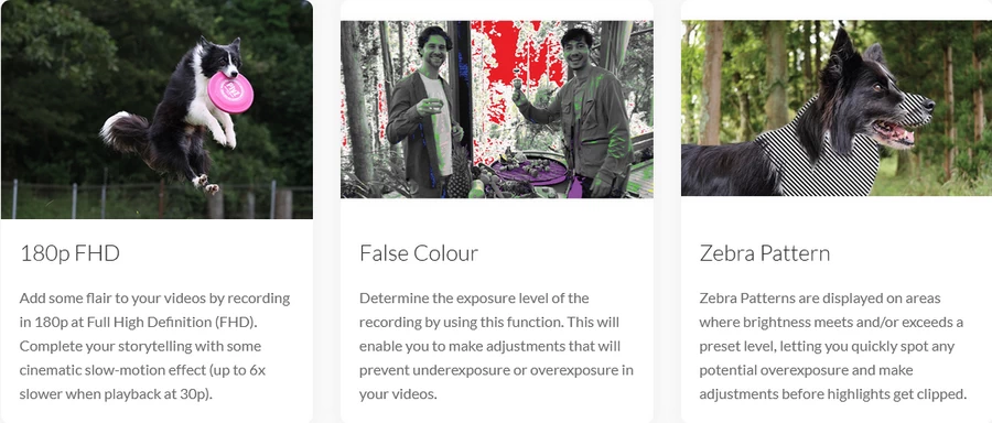 Canon EOS R8 Mirrorless Camera กล้องมิเรอร์เลสฟูลเฟรม by  in  - EC MALL