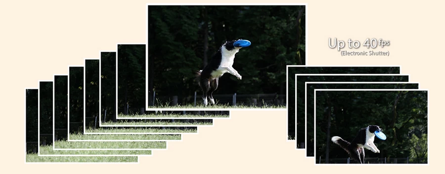 Canon EOS R8 Mirrorless Camera กล้องมิเรอร์เลสฟูลเฟรม by  in  - EC MALL