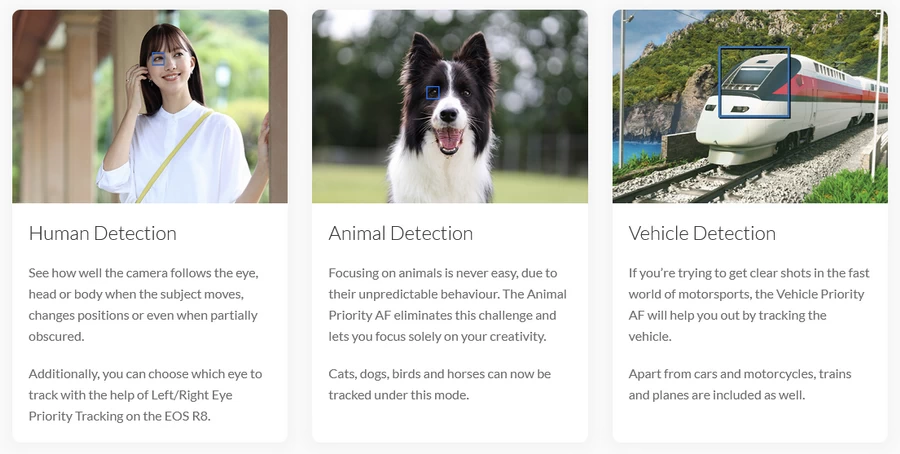 Canon EOS R8 Mirrorless Camera กล้องมิเรอร์เลสฟูลเฟรม by  in  - EC MALL