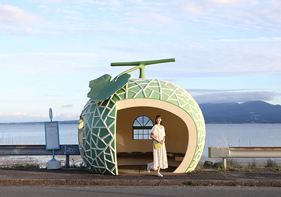 Canon RF 24-50mm f/4.5-6.3 IS STM Lens by  in  - EC MALL