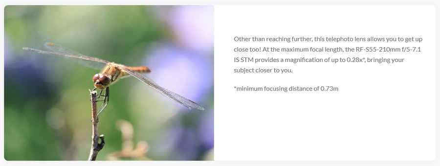 Canon RF-S 55-210mm f/5-7.1 IS STM Lens by  in  - EC MALL