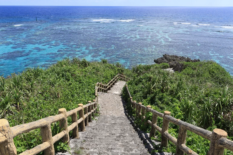 Canon EOS R50 Mirrorless Camera by  in  - EC MALL