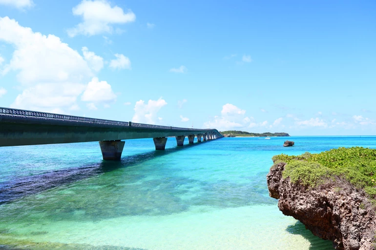 Canon EOS R50 Mirrorless Camera by  in  - EC MALL