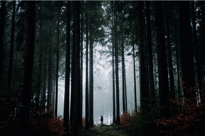 Sigma 50mm f/1.4 DG DN (A) Lens by  in  - EC MALL