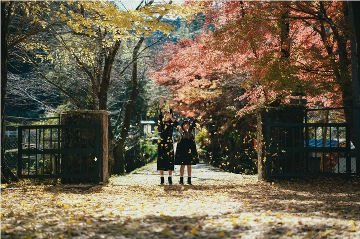 Sigma 50mm f/1.4 DG DN (A) Lens by  in  - EC MALL