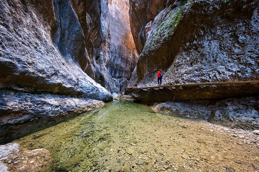 Fujifilm Fujinon XF 8mm f/3.5 R WR Lens by  in  - EC MALL