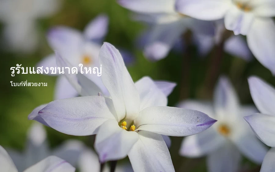 Canon RF 28mm f/2.8 STM Lens by  in  - EC MALL