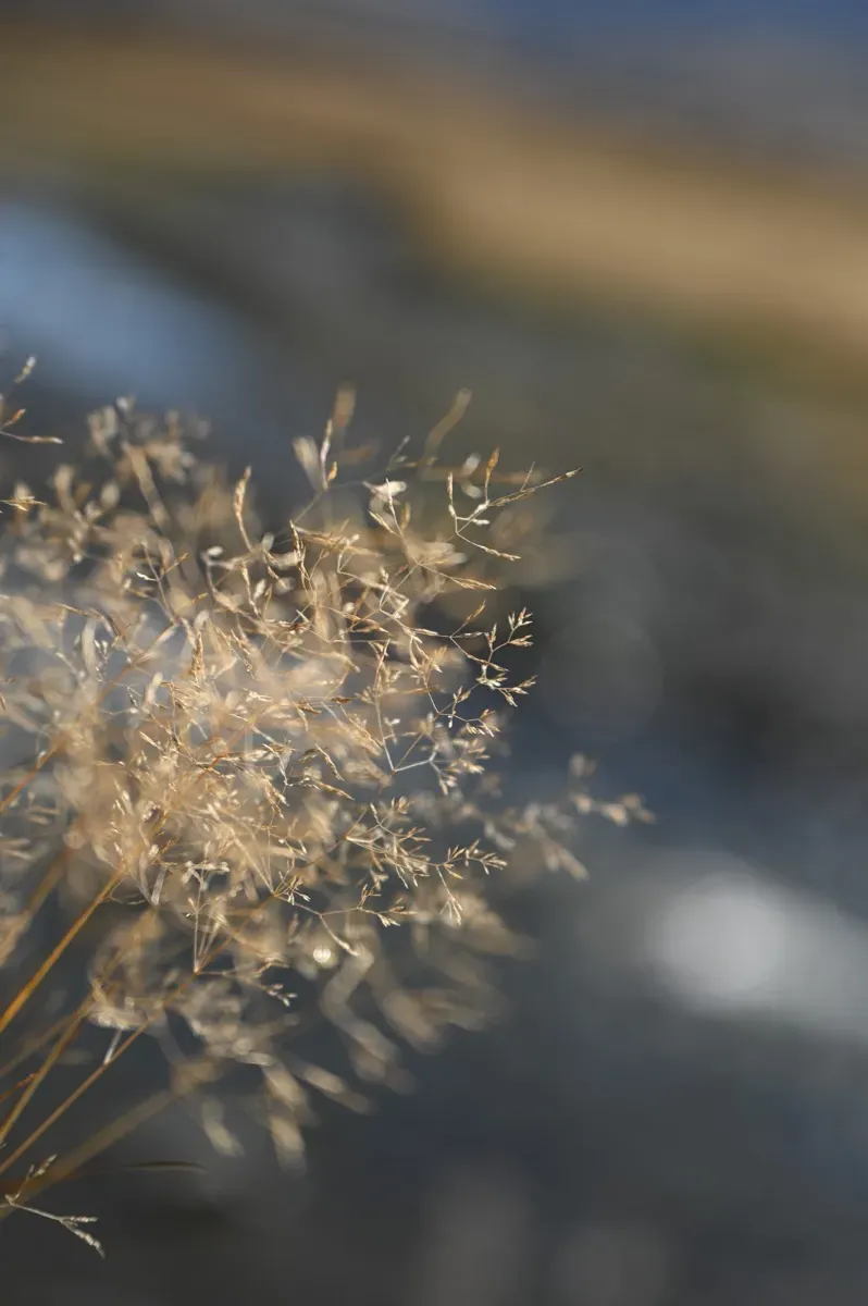 Nikon NIKKOR Z 70-180mm f/2.8 Lens by  in  - EC MALL