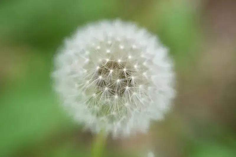 Nikon NIKKOR Z 70-180mm f/2.8 Lens by  in  - EC MALL