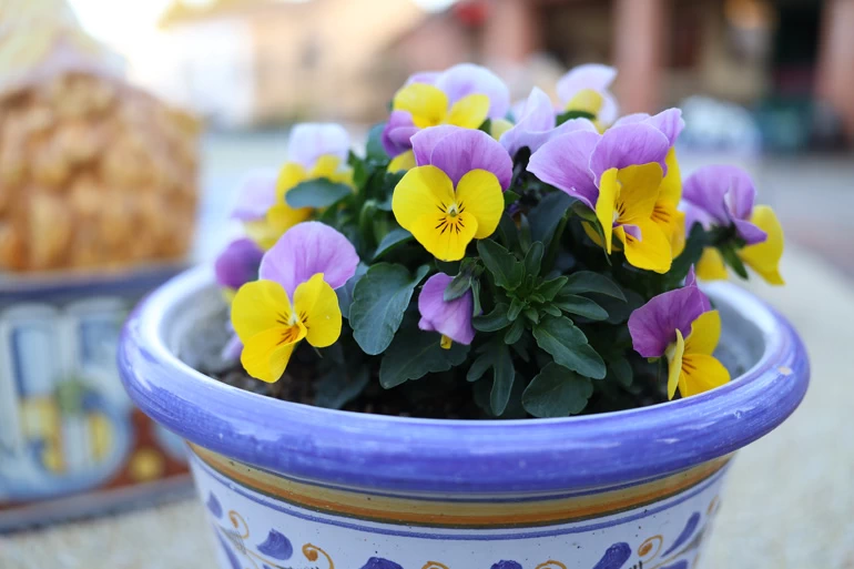 Canon RF 28mm f/2.8 STM Lens by  in  - EC MALL