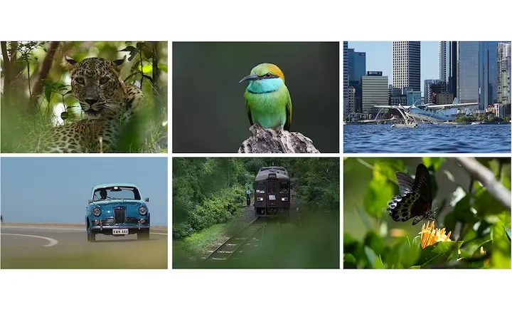 Sony a6700 Mirrorless Camera by  in  - EC MALL