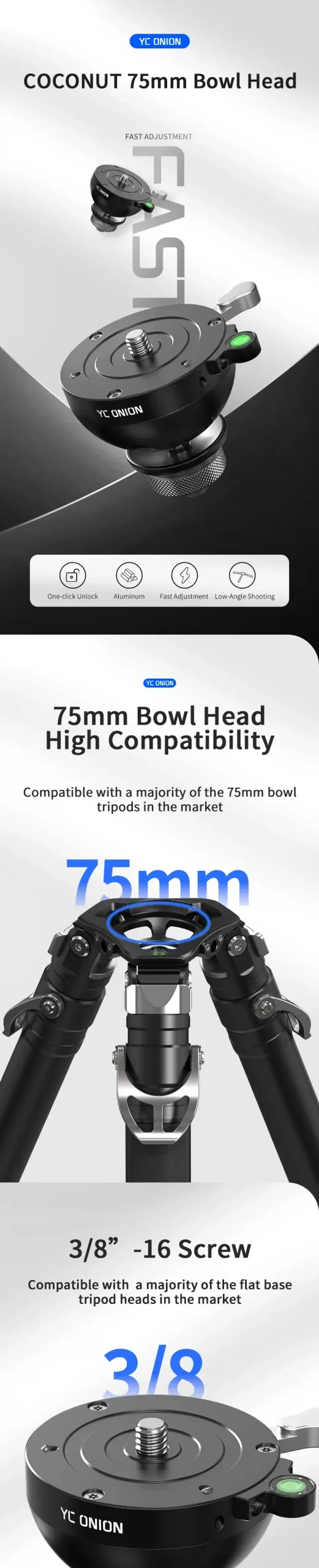 YC Onion COCONUT 75mm Bowl Head by  in  - EC MALL