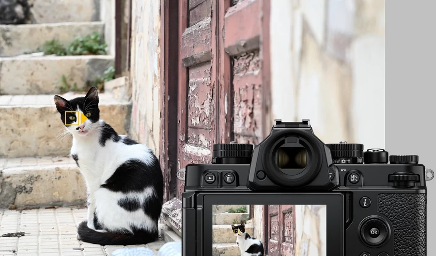 Nikon Zf full-frame Retro Mirrorless Camera by  in  - EC MALL