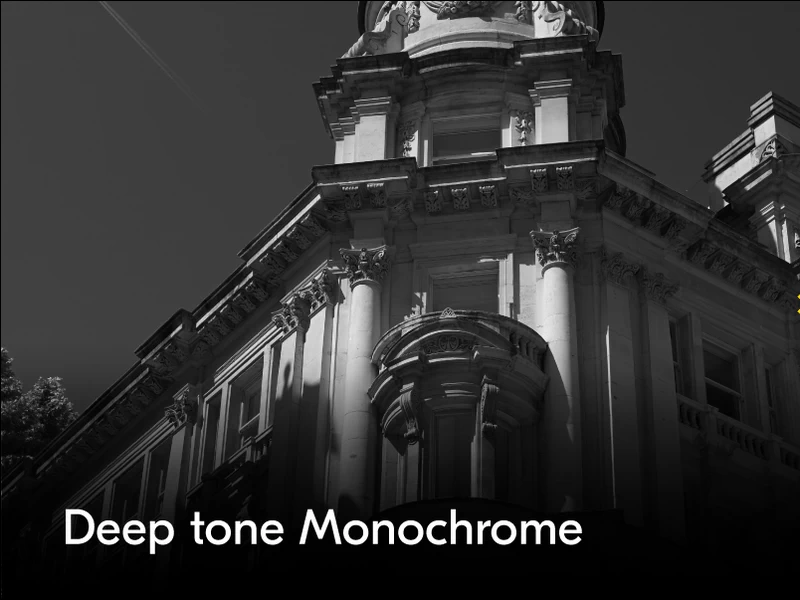 Nikon Zf full-frame Retro Mirrorless Camera by  in  - EC MALL